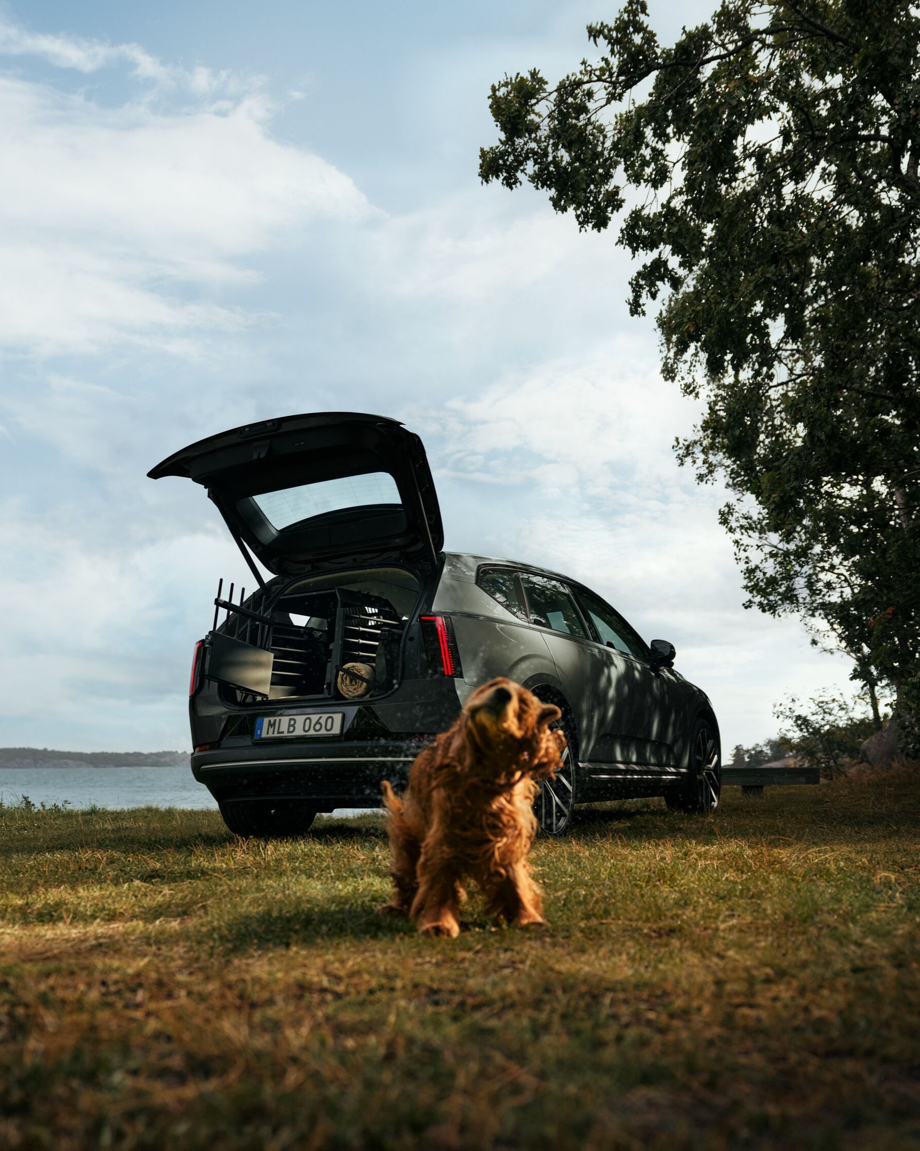 Volvo EX60 met hondenbench
